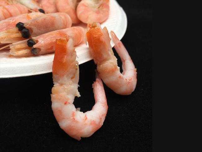 Arctic Sweet Shrimp