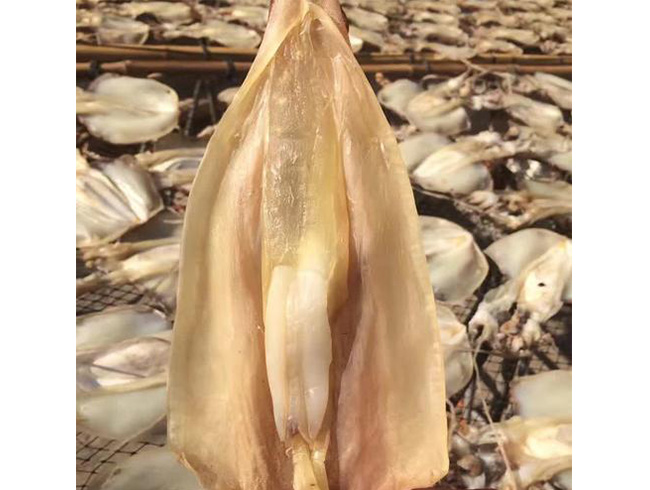 Dried squid