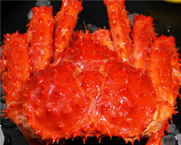 King crab